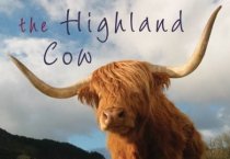 Highland Cow Souvenir Guide